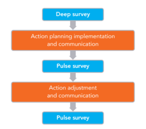 pulse survey cycle