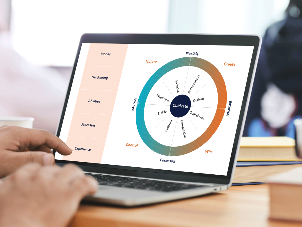 Mockup of culture assessment