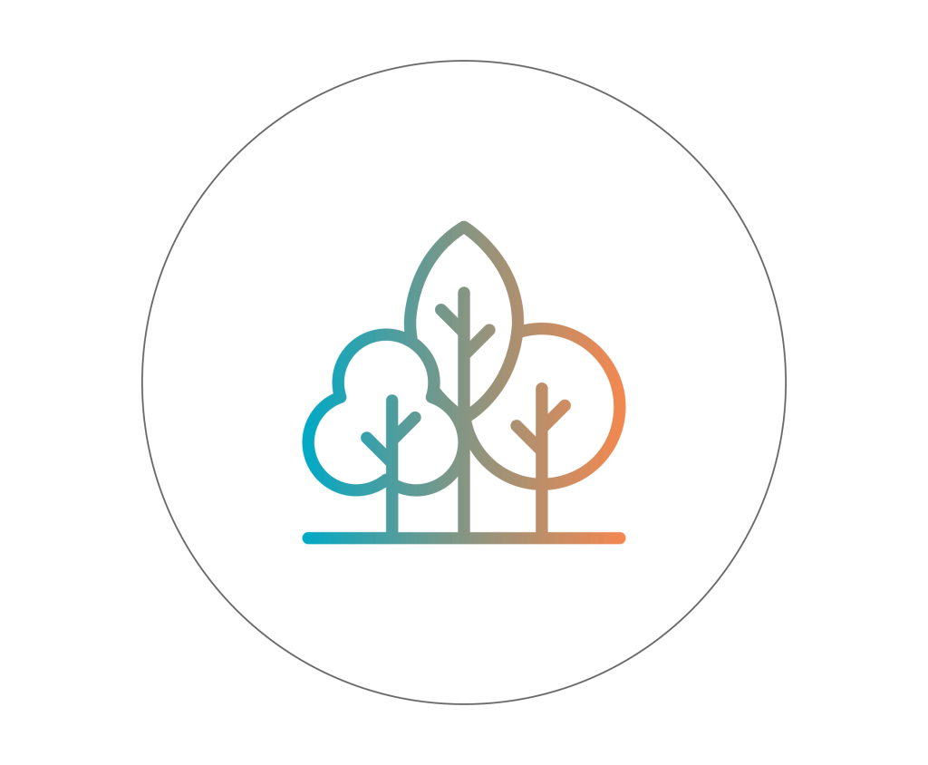 Eden reforestation